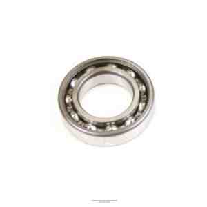 Alcatel-Adixen Bearing,Roller,6006Z OEM Part 76522