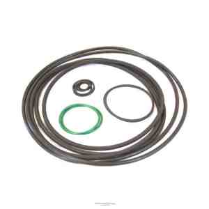 Ebara Kit O'Ring Special OEM Part Pea150Woring