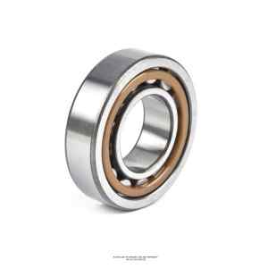 Becker Pump Bearing Part 90666400000