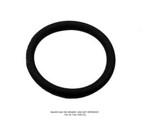 Leybold O-Ring,Viton,19.3 X 2.4 Mm Part 23974140