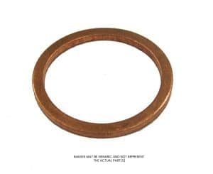 Busch Vacuum Gasket, Ring OEM Part 484000046