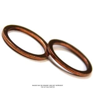 Busch Vacuum Gasket,Ring OEM Part 48404000