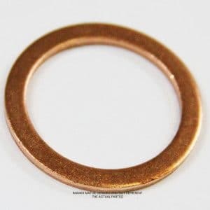 Busch Vacuum Gasket,Ring OEM Part 48406200