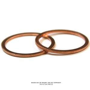 Busch Vacuum Gasket,Ring,Copper OEM Part 48406700