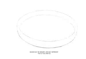 Alcatel-Adixen Ring, Teflon, Small OEM Part 550049