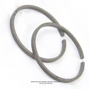 Ebara Ring,Piston OEM Part 950001